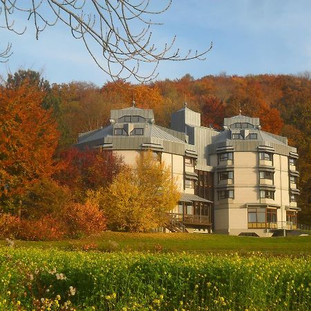 Hellmut-Wassmer-Jugendherberge Loerrach Екстер'єр фото